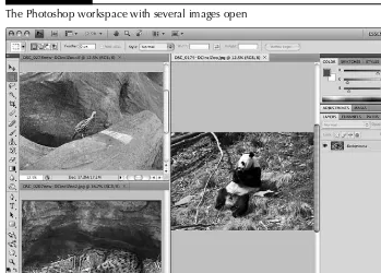 Figure 2.1 shows the Photoshop workspace. Across the very top is the Menu Bar. Under the Menu Bar is the Application Bar, and under that is the Options Bar
