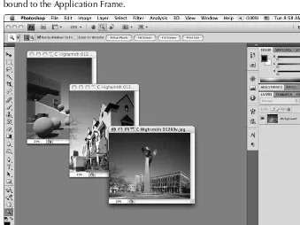 Figure 2.6 shows the work area and images with the Application Frame turned off.