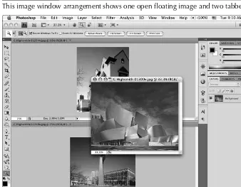Figure 2.12 shows an open floating image and two tabbed images. Figure 2.13 shows the Consolidate All to Here context menu.