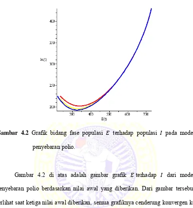 Gambar 4.2 Grafik bidang fase populasi 
