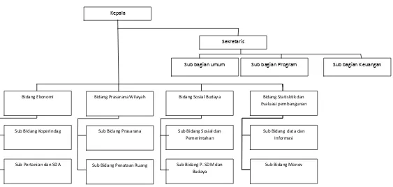 Gambar 6.2  Struktur Organisasi BAPPEDA  