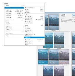 Figure 1-6: The Image menu is where you find commands for adjusting the size, color, and contrast of your image.