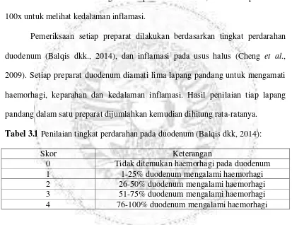 Tabel 3.1 Penilaian tingkat perdarahan pada duodenum (Balqis dkk, 2014): 