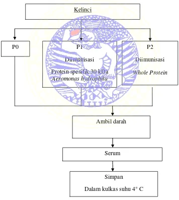 Gambar 3.1 Diagram Alir Penelitian (Tahap I) 