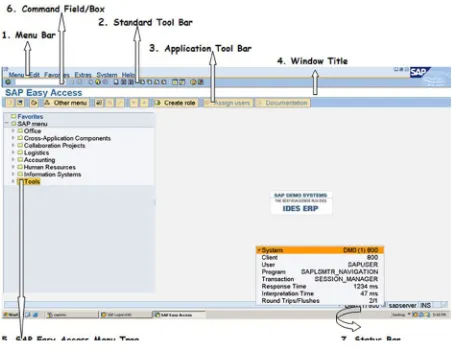 Figure 1-5. SAP Easy Access Screen