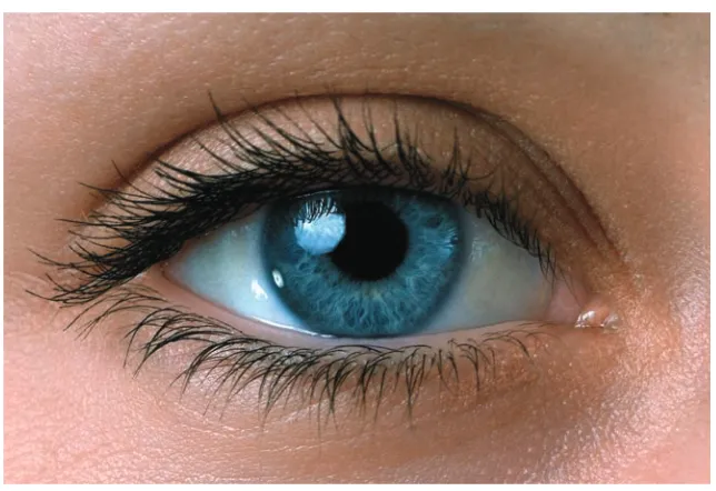 Figure 2.1  You will enhance the richness of the blue eye color.