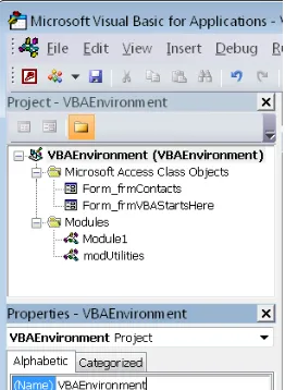 Figure 1-11 Creating a new module or class module from the Project pane. 