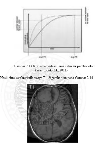 Gambar 2.13 Kurva perbedaan lemak dan air pembobotan T1 