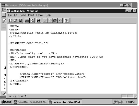 Figure 3-1: Editor and browser window arrangement in Windows 98