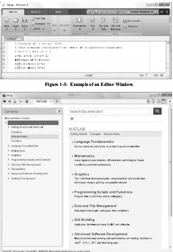 Figure 1-3: Example of an Editor Window. 
