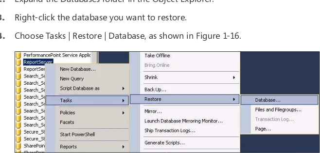 FIGURE 1-16 The Restore Database option in Microsoft SQL Server Management Studio