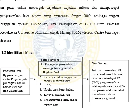 Gambar 1.0-1: Identifikasi Masalah kejadian Infeksi pada post operasi Laboplasty dan Palatoplasty di CLP Centre Fakultas Kedokteran Universitas Muhammadiyah Malang UMM Medical Centre