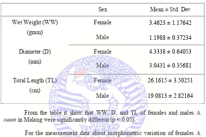 Table 4.3 Ascaris suum females and males measurement in Malang 