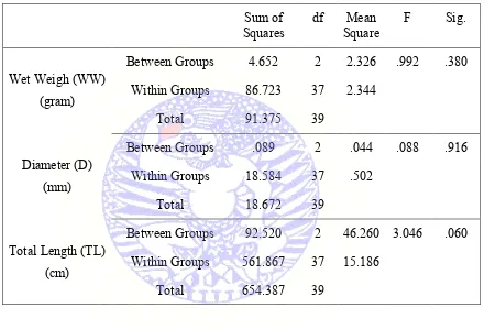 Table 4.4 Morphometric variation of females A. suum between regions (Blitar , Tulungagung and Malang) 
