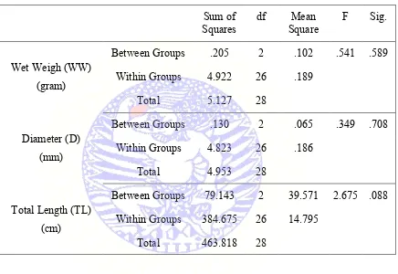 Table 4.5 Morphometric variation of males A. suum between regions (Blitar , Tulungagung and Malang) 