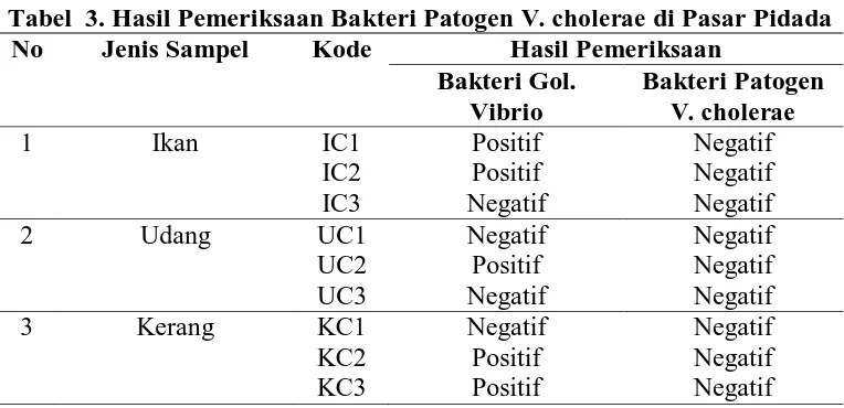 Tabel  3. Hasil Pemeriksaan Bakteri Patogen  V. cholerae di Pasar Pidada No Jenis Sampel Kode Hasil Pemeriksaan 