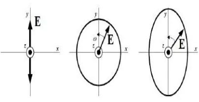 Gambar 2.1 Jenis-Jenis Polarisasi Gelombang Elektromagnetik [10] 