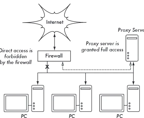 Figure 3.27: The only route to the Internet is through the proxy.