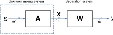 Gambar 2.1 Blok Diagram Model ICA 