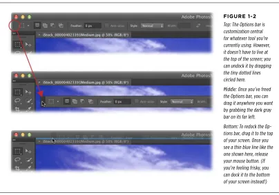 FiGURE 1-2Top: The Options bar is 