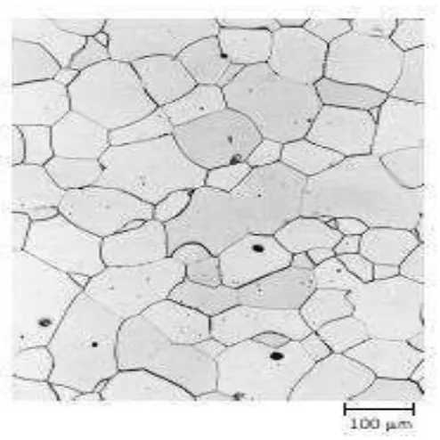 Gambar 2.13 Struktur mikro dari spesimen paduan besi-kromium dimana batas butir tampak terlihat gelap (Callister, 2009)