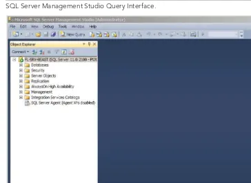 FIGURE 1-2SQL Server Management Studio Query Interface.