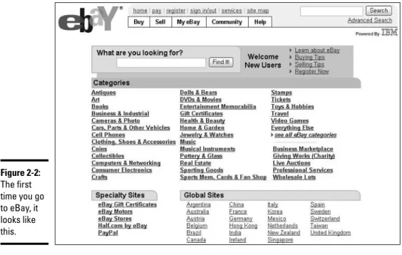Figure 2-2: The first time you go to eBay, it looks like this.