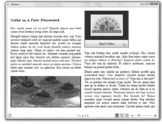 FIGURE 1.3Flow documents resize optimally for their window size and screen resolution, and can contain user 