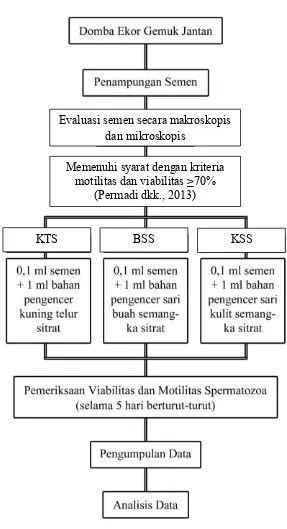 Gambar 3.1 Bagan alur penelitian. 