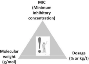 Figure 1. Effects of feed additives in animal nutrition