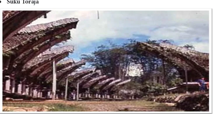 Gambar 4.3 Rumah Adat Toraja 