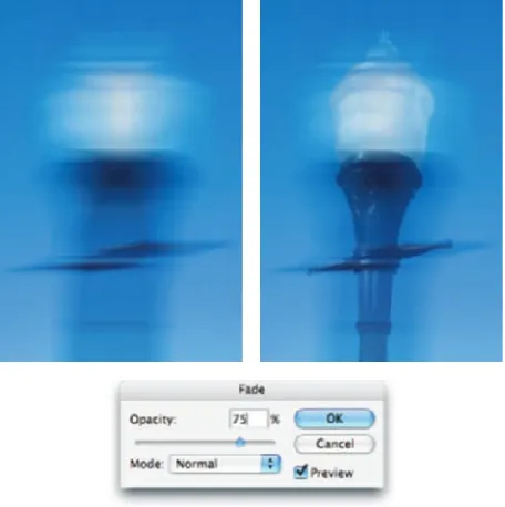 Figure 1-10: Compare the original blur with a reduction usingthe Fade command.