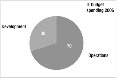 Figure 1-8. IT spending in companies