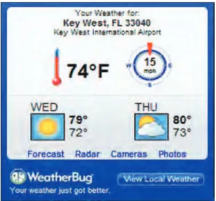 Figure 1-3 shows the result, one of WeatherBug’s live gadgets. 