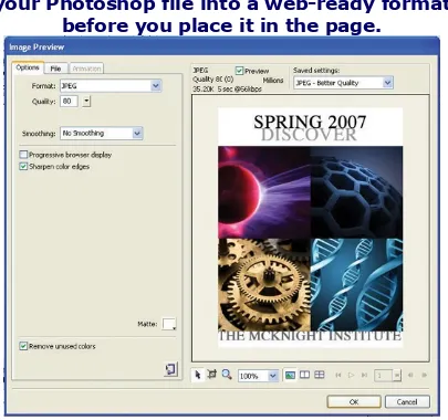 Figure 1-10. The Image Preview window savesyour Photoshop file into a web-ready formatbefore you place it in the page.