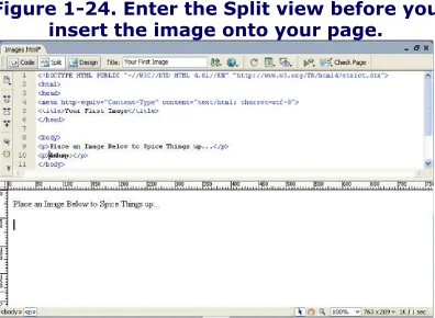 Figure 1-24. Enter the Split view before youinsert the image onto your page.