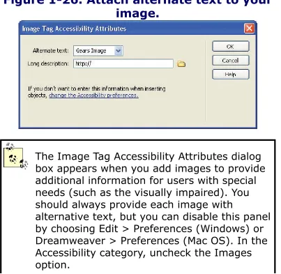 Figure 1-25. Choose Insert Image from theCommon tab on the Insert bar.