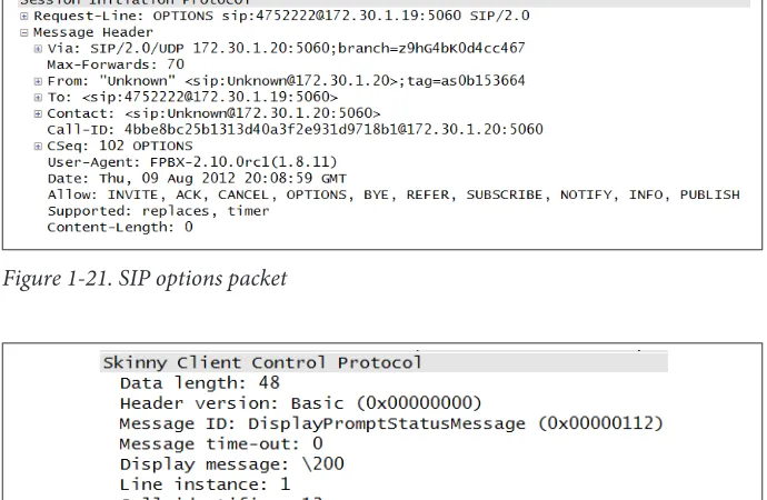 Figure 1-21. SIP options packet