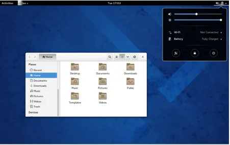 Figure 1-1. Fedora Live DVD