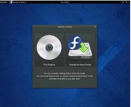 Figure 2-4. Fedora Install window on Fedora Live Desktop