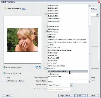Figure 4-8: Choose a profile from the Printer Profile menu.