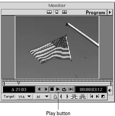 Figure 1-7: The Monitor window with the Play button