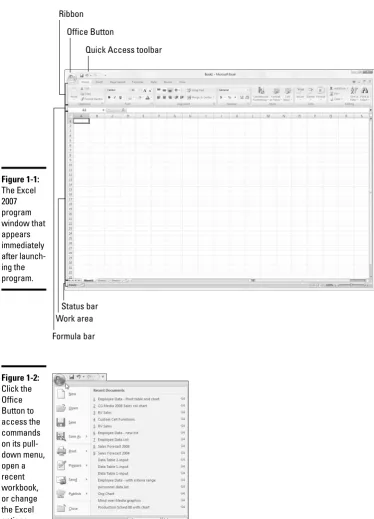 Figure 1-1:The Excel