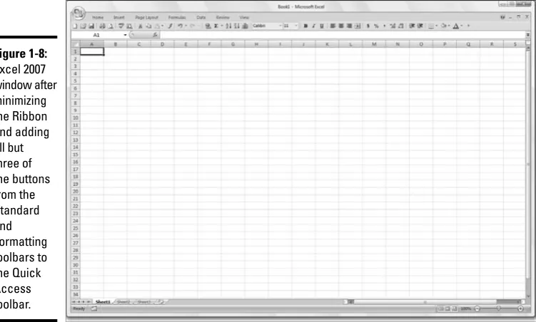 Figure 1-8:Excel 2007