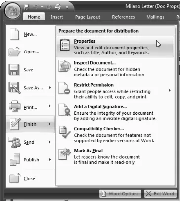 FIGURE 2.7Opening the Document Information panel.