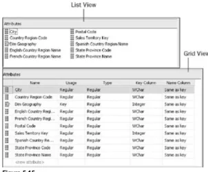 Figure 5-15 shows the List view and Grid view of the attributes shown in Figure 5-14. The List view provides you a concise view where the attributes pane is below the Hierarchies and Level pane