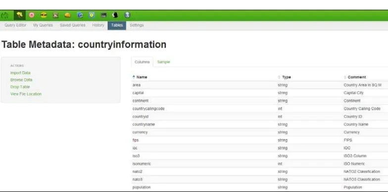 table called CountryInformation. When you click on the Tables option, you can 