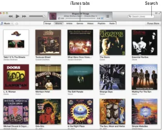 Figure 5-3: Albums in your iTunes library.