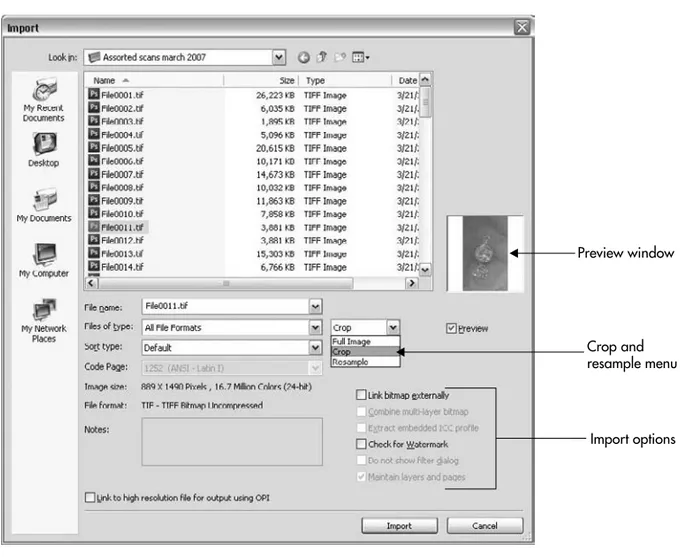 FIGURE 3-7 The Import dialog includes options for cropping images, provides details about images, and offers ICC color profile options.