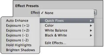 Figure 2.16 shows the Effect Presets that are 